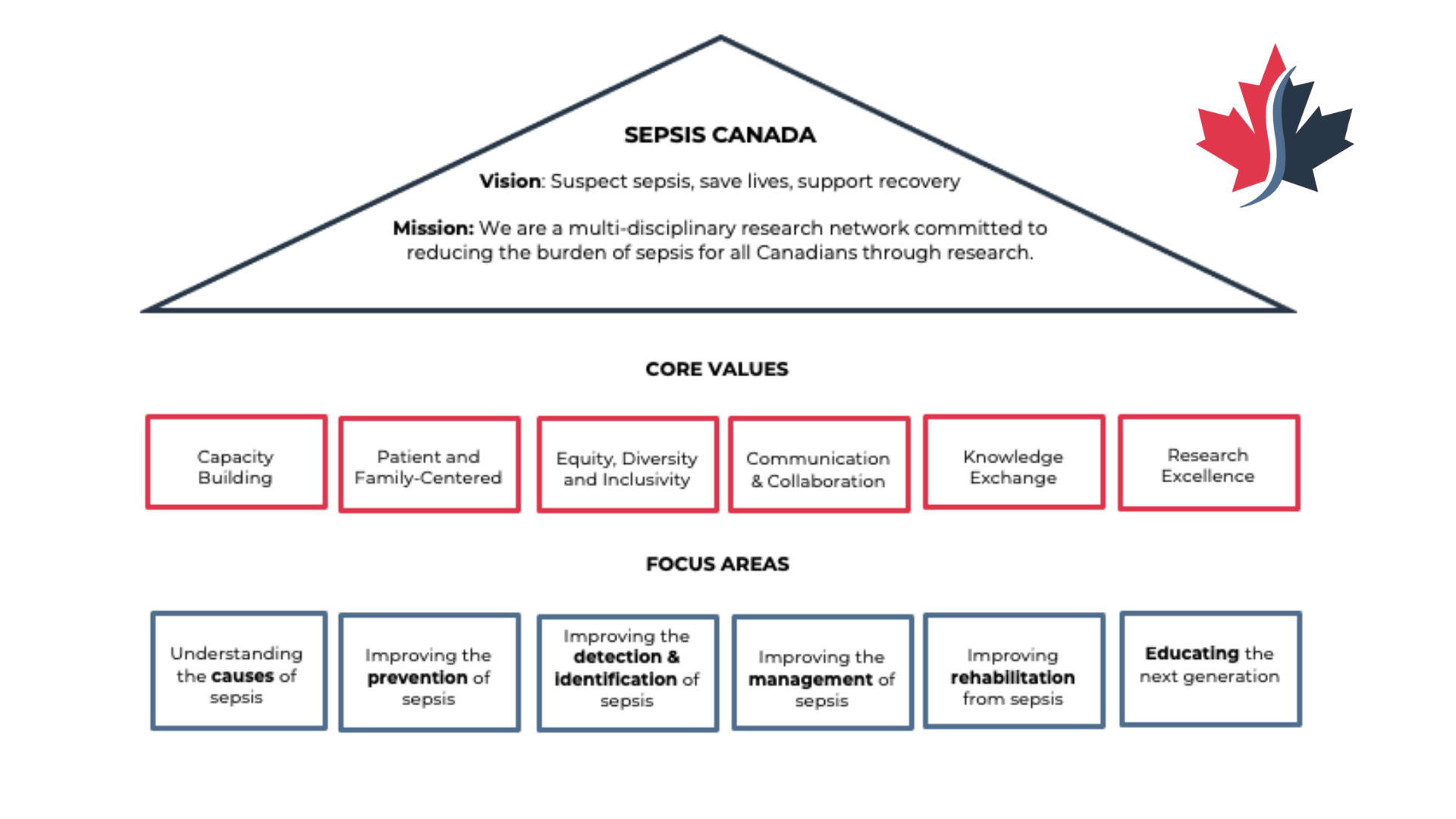 Diagram showing Sepsis Canada's Mission, Vision, Core Values and Focus Areas